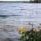 Sealey Lake.