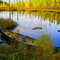 Hunting near Upsala