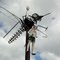 Upsala Steel Mosquito