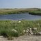 Little Arm River