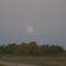 Moon over trees