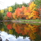Berry River in the Fall