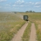 Casino Trail