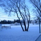 Winter In Shilo