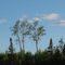 Evening skies along Lake 282