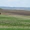 Endless, Open Prairie Hills And Plains In The Claybank Hills Near Claybank SK May '12