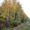Autumn Shore