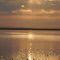 Golden Marsh
