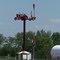 "Weather Vane"