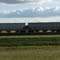 Train - Virden Manitoba