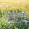 Backwater Bench in Saskatchewan