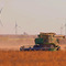 Soybean Harvest