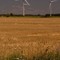 Wheat and Wind Turbines