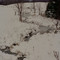 in the snow belt