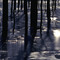 ice on the pond-take 2!