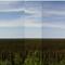 Boreal Forest, looking west from radar station
