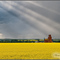 Sunbeams over Wakaw