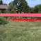 Red Bridge