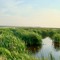 View looking southwest from marshy area between Summerberry and Grenfell, July 1, 2008