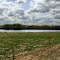 Manitou Beach Area 20130519-015