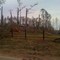Tornado Destruction