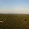 Air balloon flight