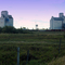 Elevators of Wilkie, Sask.