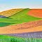 Palouse, view from Scholz Rd, Colfax, WA