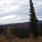 Alaska - Taylor Hwy