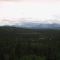 Green Foothills Forest in June With the Rocky Mountains to the West - Scenery Near Waiparous AB, West of Calgary