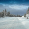 Sibbald flats 2