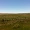 Country view