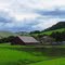 Peaceful Farm...