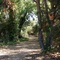 Stiver's Lagoon Fremont