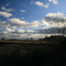 Don Edwards Wildlife Preserve