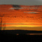 New Years Eve 2007 Sunset Over San Francisco Bay from Union City Hills