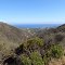 Malibu 2