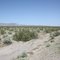 Mojave Desert in early April 2010
