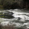 Mokelumne River along Electra Road, Jackson, CA