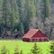 Amador County California