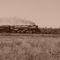 Challenger No 3985 Passes Biggs