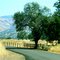 Bend in road
