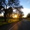 Setting Sun