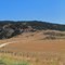 Cerro Noroeste Rd, Maricopa CA