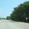 Arkansas 81