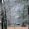ICE STORM-2010