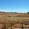 Julian plains