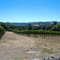 Archipel Winery 2