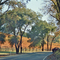 Alexander Valley / Road 128