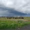 Shower over north Chico